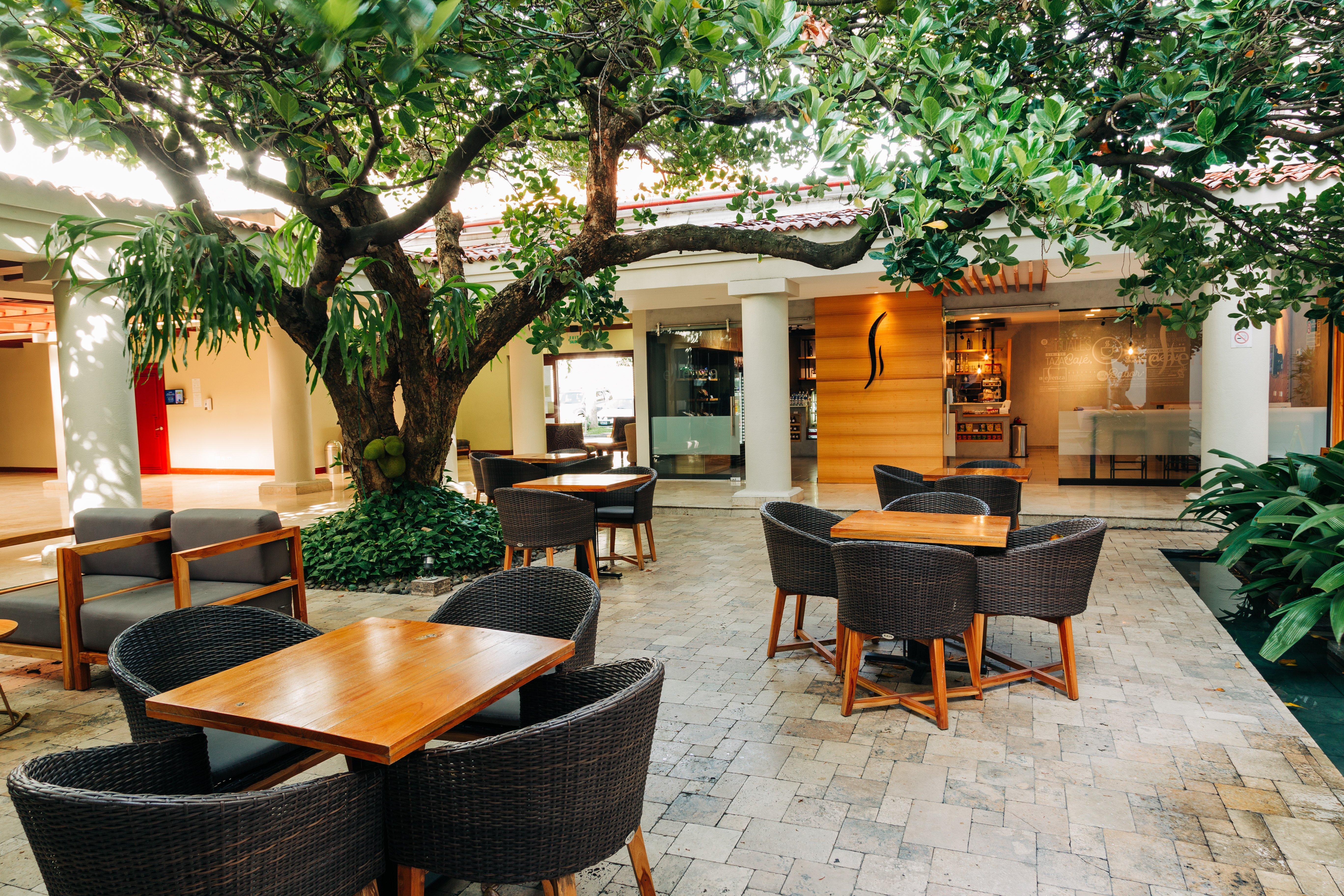 Hilton San Salvador Otel Dış mekan fotoğraf